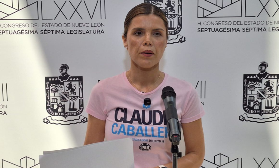 Diputada pide al Gobierno proteger servicios de salud mental en Nuevo León