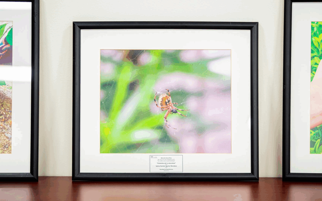 UANL Invita a Capturar la Fauna de sus Campus en Concurso de Fotografía
