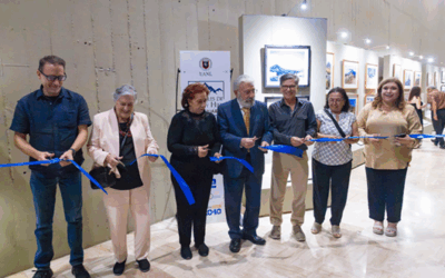 Invade arte instalaciones de la BURRF