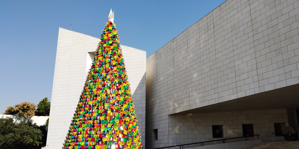 Un Pino de Sarape y Danza: La Macroplaza se Viste de Navidad