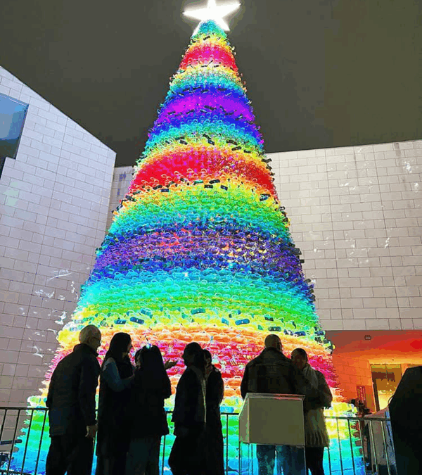 Un Pino Luminoso: Navidad Ilumina Nuevo León Pese al Frío y la Lluvia