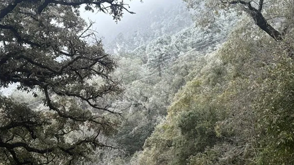 Ola gélida pinta de blanco cerros y municipios del norte de Nuevo León