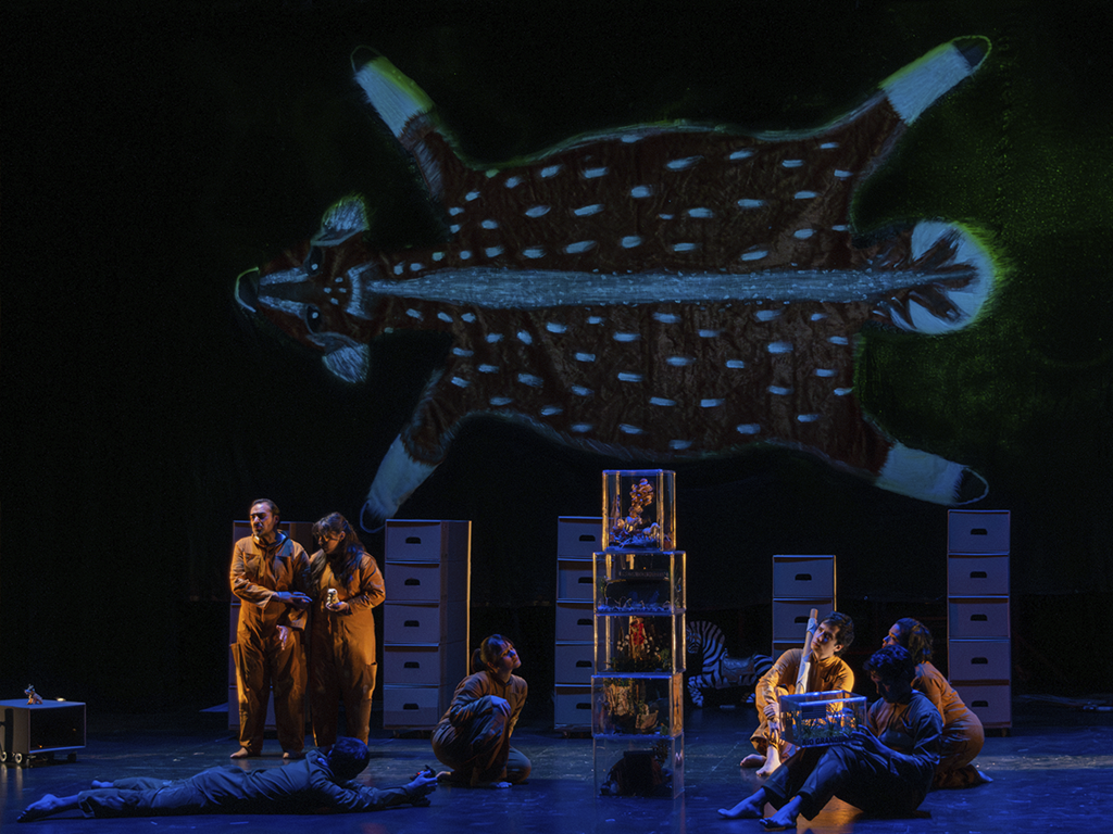 Presentarán “Autobiografía del Algodón” en el Centro Cultural Helénico